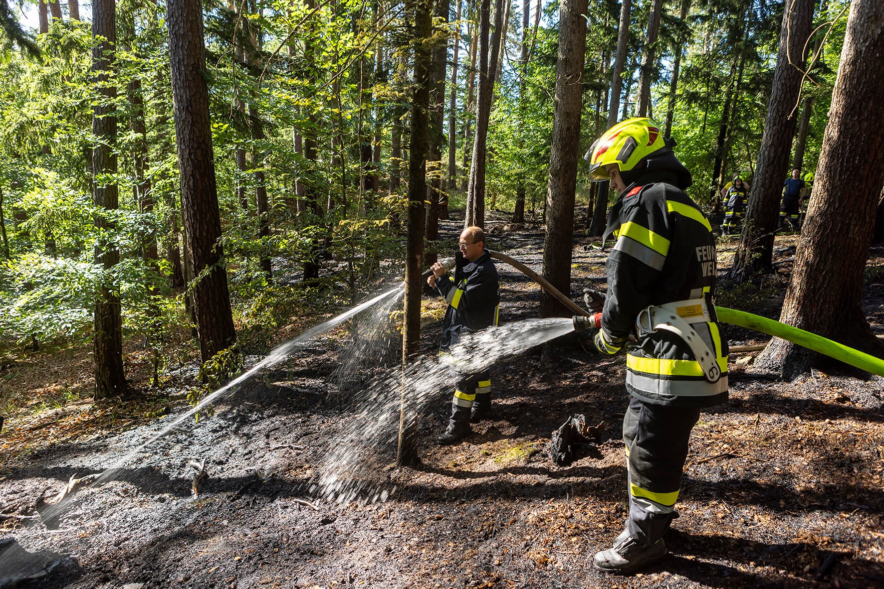 Gallery image 4 -  Fünf Feuerwehren im Einsatz - Waldbrand in Nöhagen 