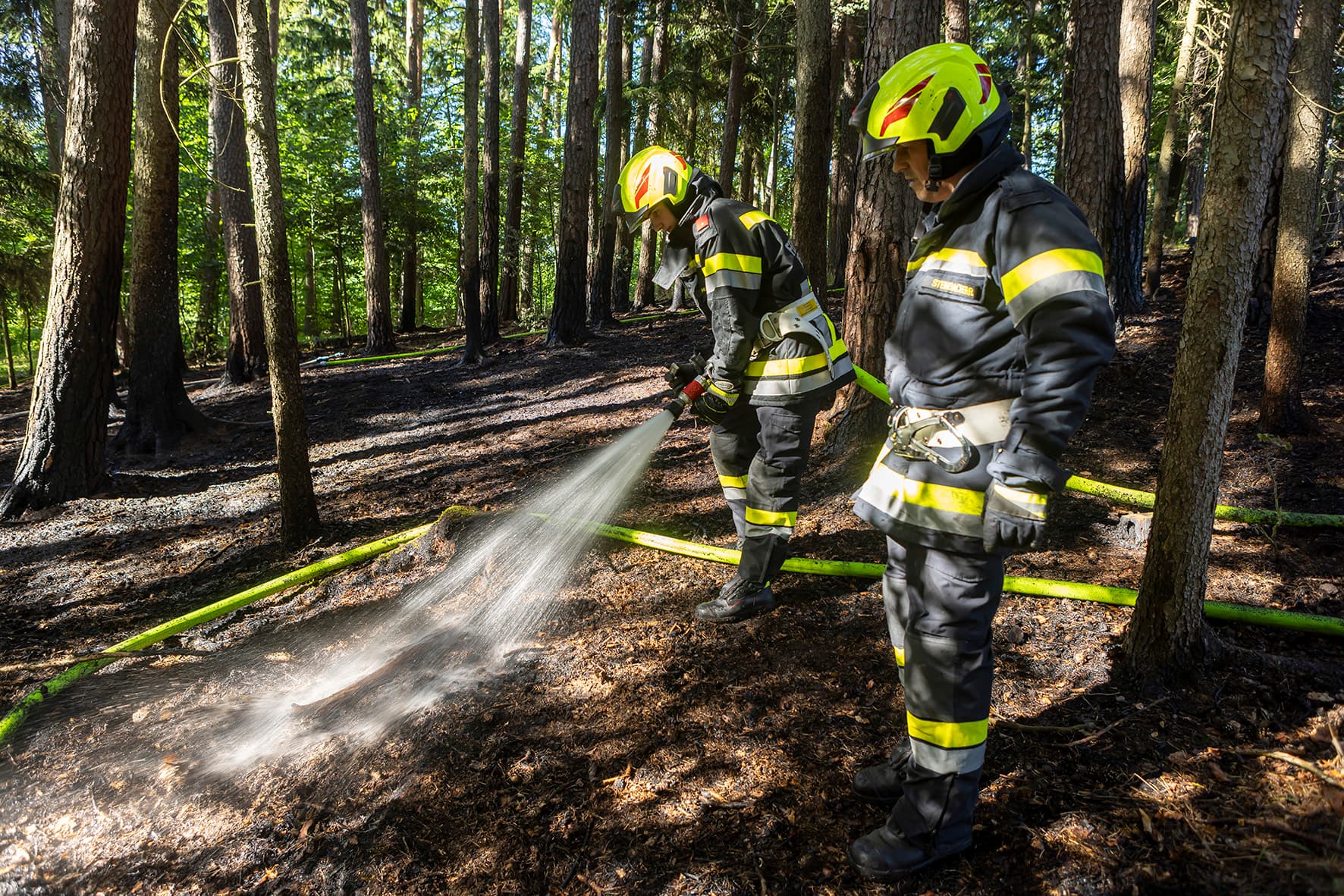 Gallery image 6 -  Fünf Feuerwehren im Einsatz - Waldbrand in Nöhagen 